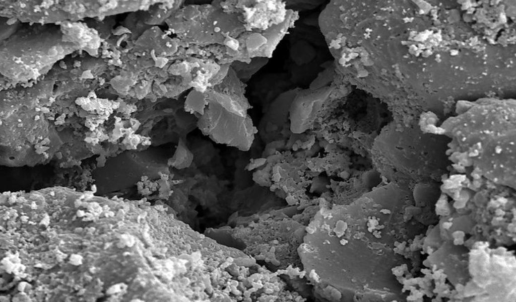 Природные сорбенты. Активированный уголь под микроскопом, фото.