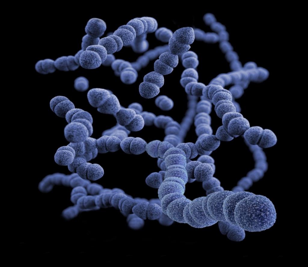 Нарушение баланса микрофлоры — причина диареи после антибиотиков – фото